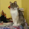 Отзыв от Алевтина Панова
